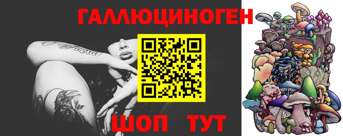 Псилоцибиновые грибы прущие грибы Усть-Джегута