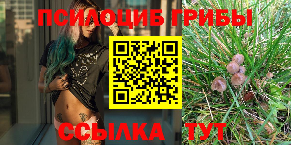 Галлюциногенные грибы Psilocybine cubensis  Вход с VPN  Усть-Джегута 